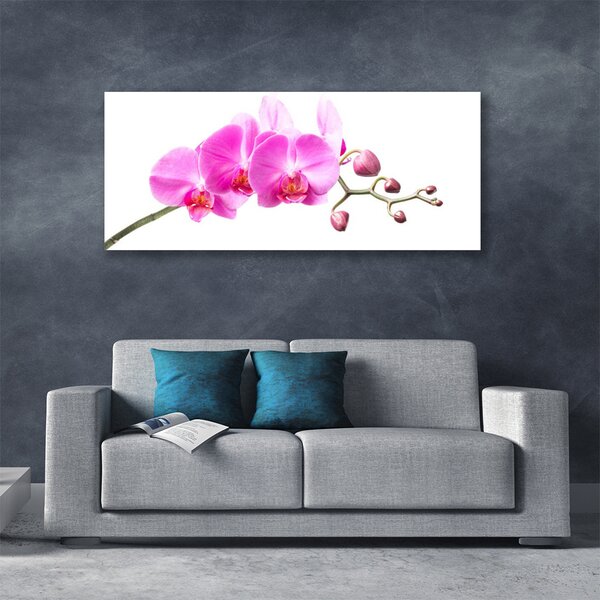 Tablou pe panza canvas Flori roz Floral