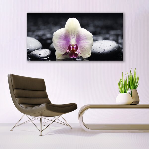 Tablou pe panza canvas Pietrele florale flori roz alb negru