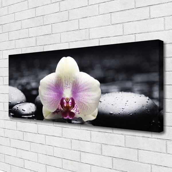 Tablou pe panza canvas Pietrele florale flori roz alb negru