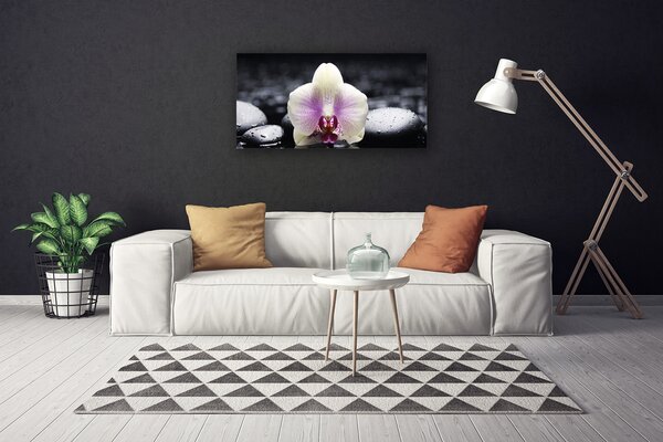 Tablou pe panza canvas Pietrele florale flori roz alb negru