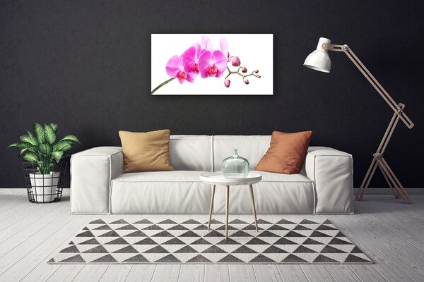 Tablou pe panza canvas Flori roz Floral