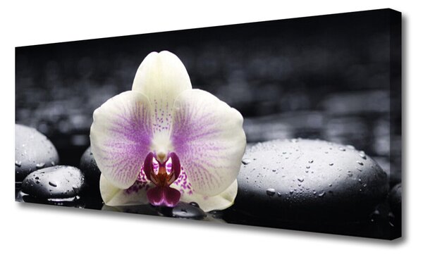 Tablou pe panza canvas Pietrele florale flori roz alb negru