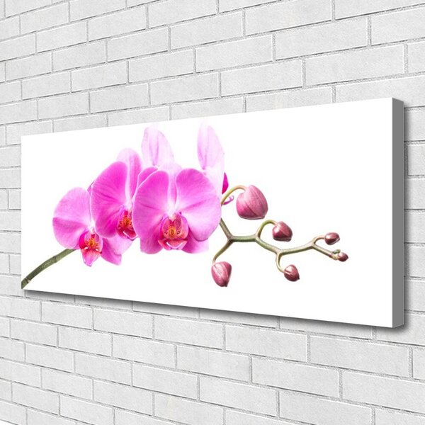 Tablou pe panza canvas Flori roz Floral