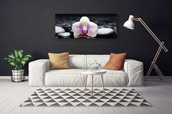 Tablou pe panza canvas Pietrele florale flori roz alb negru