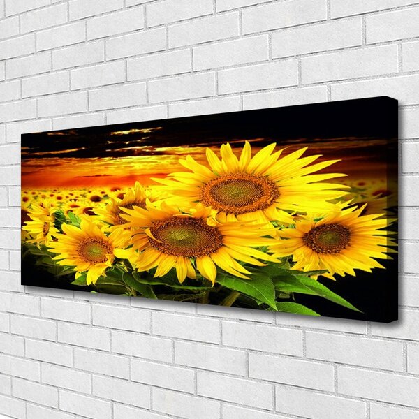 Tablou pe panza canvas Floarea soarelui Floral Galben Maro