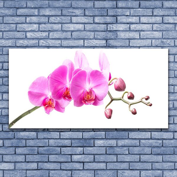 Tablou pe sticla Flori roz Floral