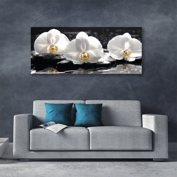 Tablou pe panza canvas Pietre florale flori alb negru