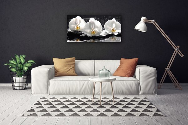 Tablou pe panza canvas Pietre florale flori alb negru
