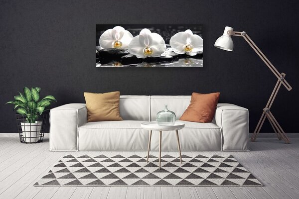 Tablou pe panza canvas Pietre florale flori alb negru