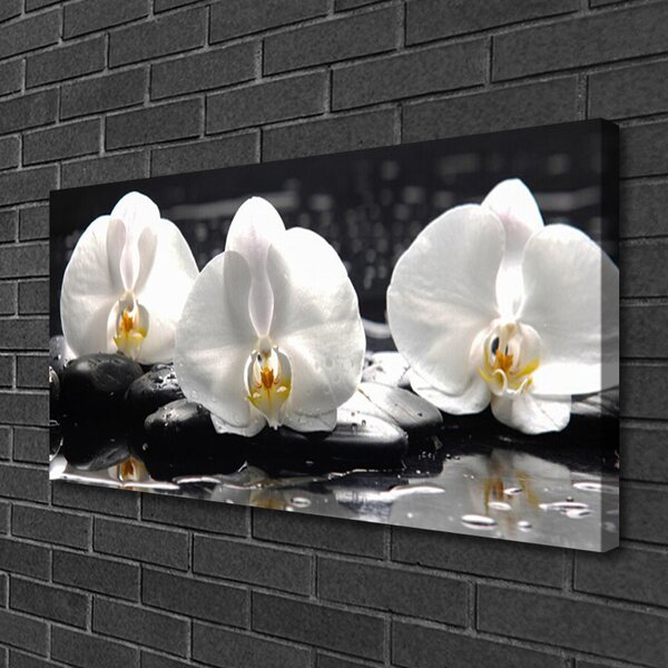 Tablou pe panza canvas Pietre florale flori alb negru