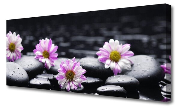 Tablou pe panza canvas Pietrele florale flori roz alb negru