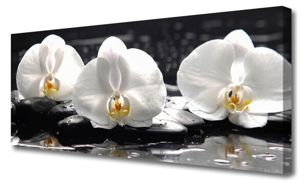 Tablou pe panza canvas Pietre florale flori alb negru