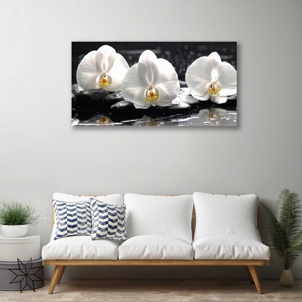 Tablou pe panza canvas Pietre florale flori alb negru