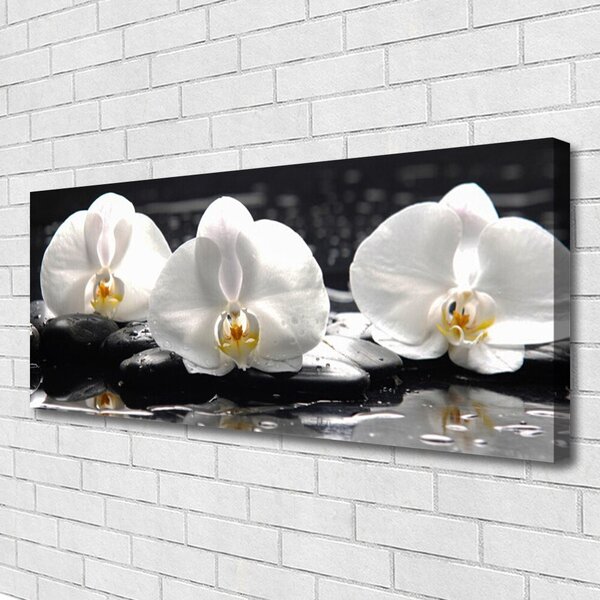 Tablou pe panza canvas Pietre florale flori alb negru