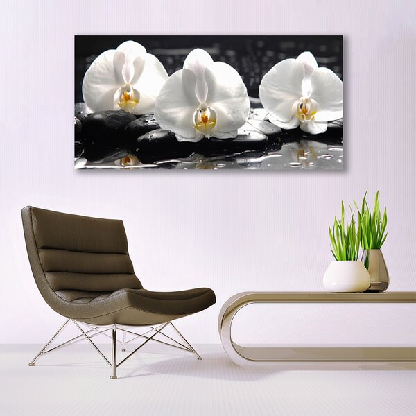 Tablou pe sticla Pietre florale flori alb negru