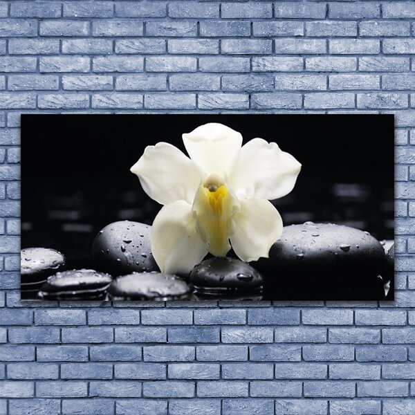 Tablou pe sticla Pietre florale flori alb negru