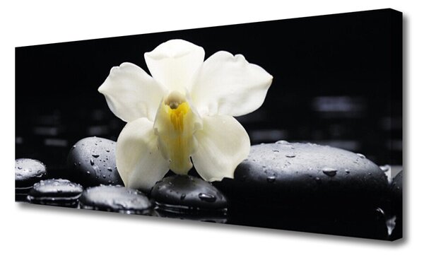 Tablou pe panza canvas Pietre florale flori alb negru