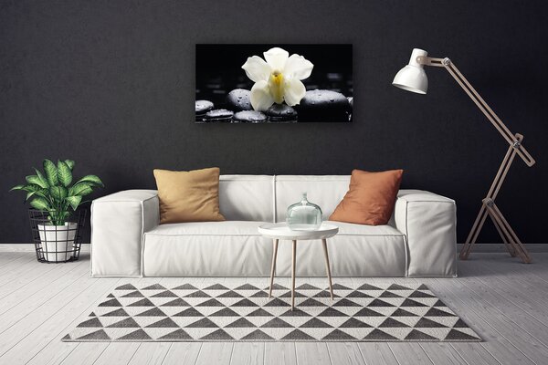 Tablou pe panza canvas Pietre florale flori alb negru