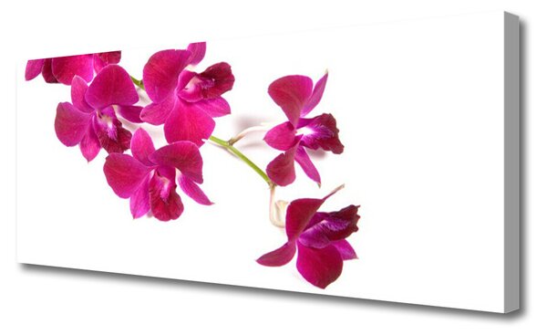 Tablou pe panza canvas Flori Floral Roșu