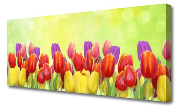 Tablou pe panza canvas Lalele Floral Galben Rosu Roz
