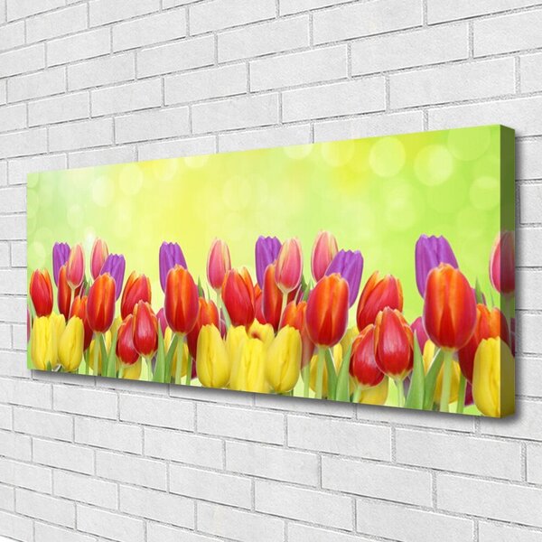 Tablou pe panza canvas Lalele Floral Galben Rosu Roz