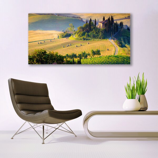 Tablou pe panza canvas Câmp Copaci Peisaj Verde Maro