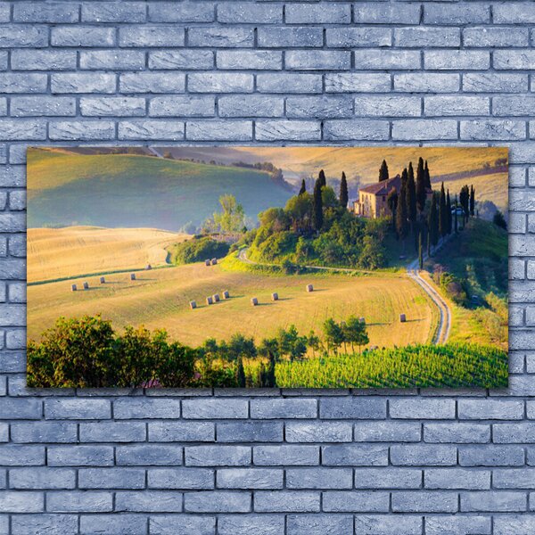 Tablou pe panza canvas Câmp Copaci Peisaj Verde Maro