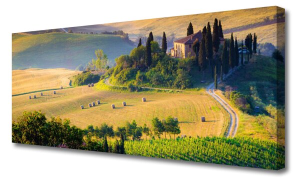 Tablou pe panza canvas Câmp Copaci Peisaj Verde Maro