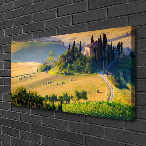 Tablou pe panza canvas Câmp Copaci Peisaj Verde Maro
