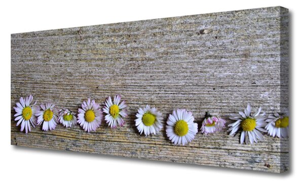 Tablou pe panza canvas Daisy Floral Galben Alb Roz