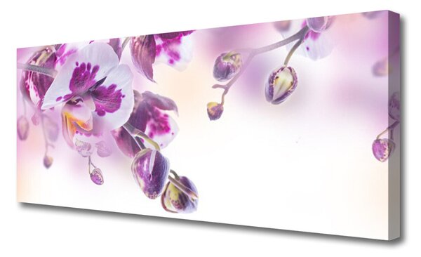 Tablou pe panza canvas Flori roz Floral