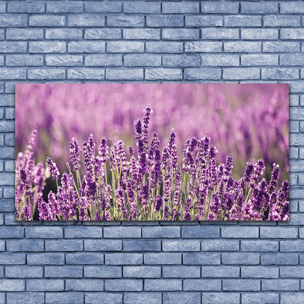 Tablou pe sticla Flori roz Floral