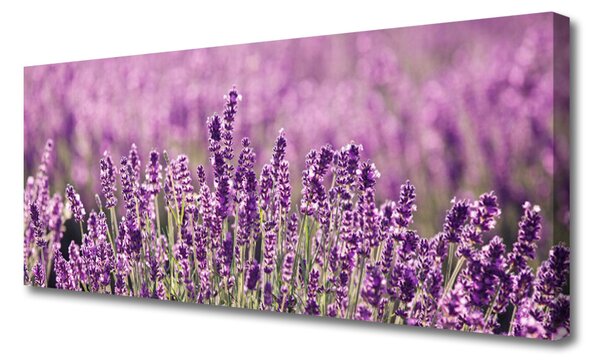Tablou pe panza canvas Flori roz Floral