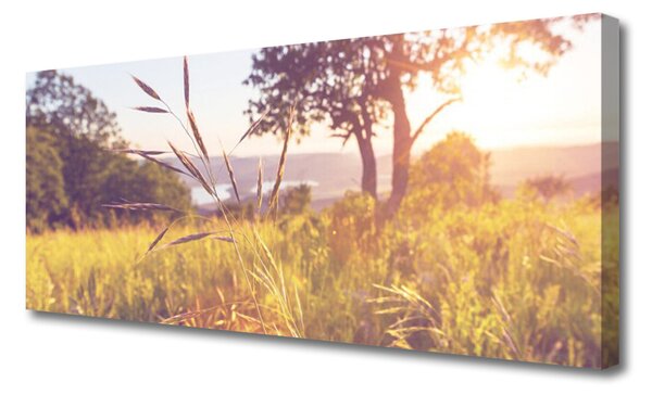 Tablou pe panza canvas Meadow Grass copac Natura Verde Maro