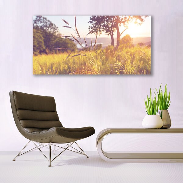 Tablou pe sticla Meadow Grass copac Natura Verde Maro