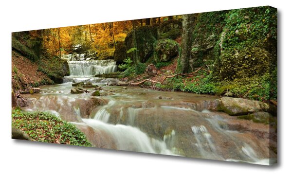 Tablou pe panza canvas Cascada Natural Pădurea Verde Maro