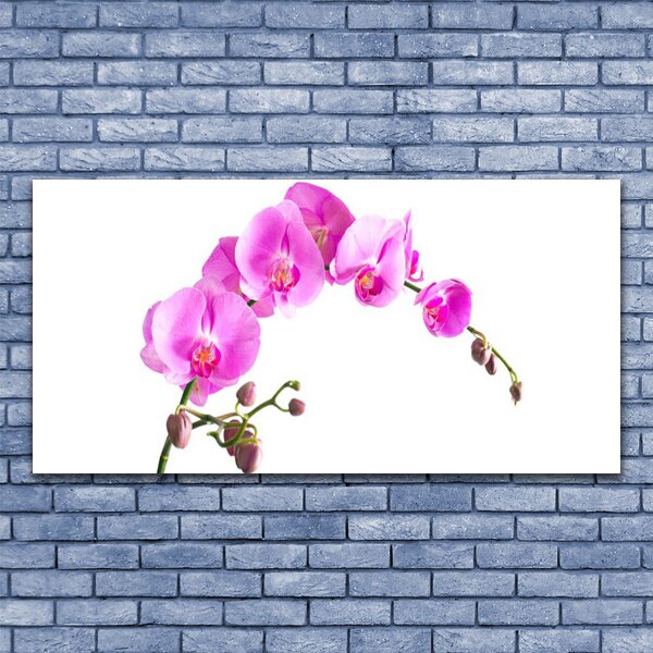 Tablou pe sticla Flori roz Floral