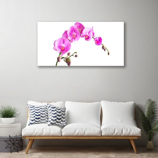 Tablou pe panza canvas Flori roz Floral
