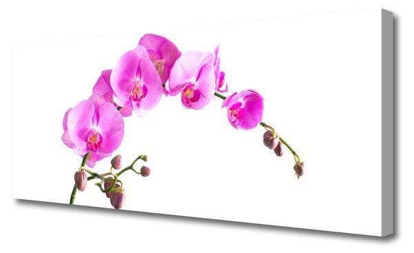 Tablou pe panza canvas Flori roz Floral
