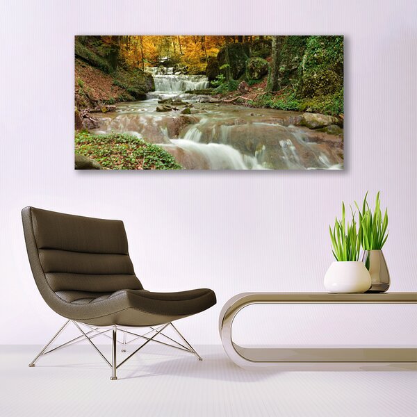 Tablou pe sticla Cascada Natural Pădurea Verde Maro