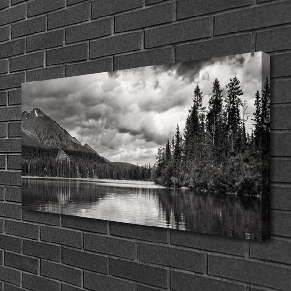 Tablou pe panza canvas Mountain Forest Lake Nature Gray