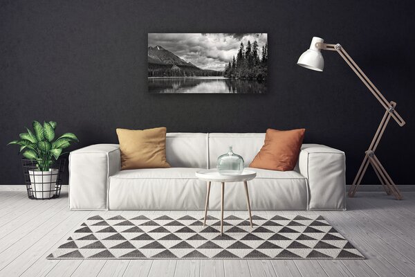Tablou pe panza canvas Mountain Forest Lake Nature Gray