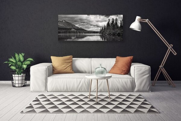 Tablou pe panza canvas Mountain Forest Lake Nature Gray