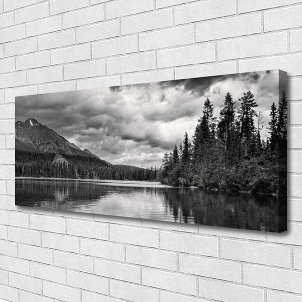 Tablou pe panza canvas Mountain Forest Lake Nature Gray