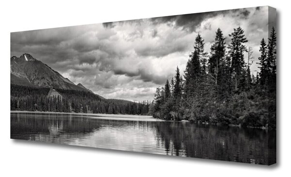 Tablou pe panza canvas Mountain Forest Lake Nature Gray
