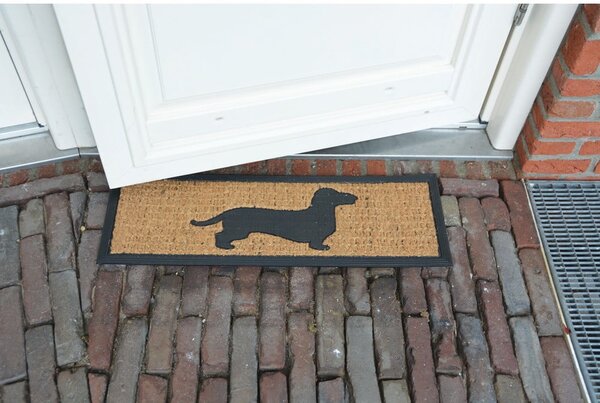Covoraș de intrare 75x25 cm – Esschert Design