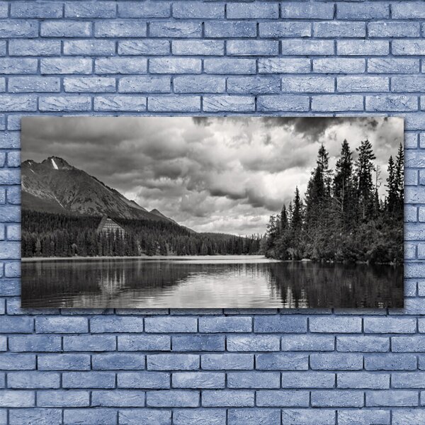 Tablou pe panza canvas Mountain Forest Lake Nature Gray