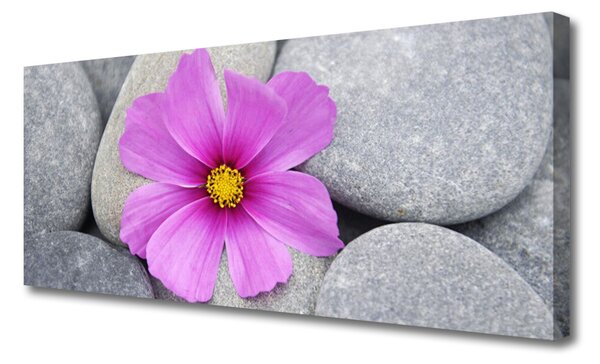 Tablou pe panza canvas Pietrele florale flori roz gri