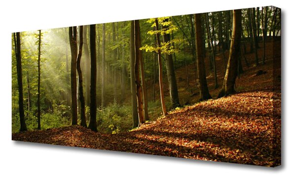 Tablou pe panza canvas Natural Pădurea Verde Maro