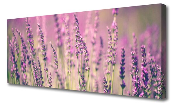 Tablou pe panza canvas Flori Floral violet